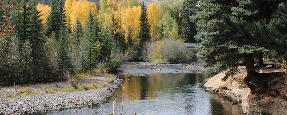 River and Bridge